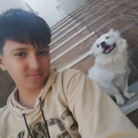 سگ در کاریز گمشده مژدگانی 6 ملیون