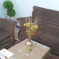 مبل|مبلمان خانگی و میز عسلی|یاسوج, |دیوار