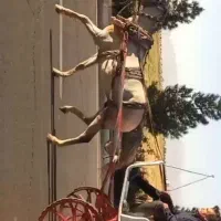 اسب کالسکه تکمیل