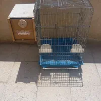 قفس|لوازم جانبی حیوانات|قرچک, مهدیه|دیوار