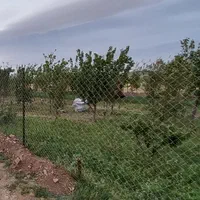 کود|گل و گیاه طبیعی|قم, قلعه کامکار|دیوار