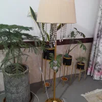 آباژور ایستاده