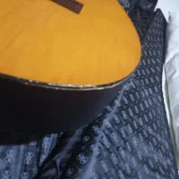 گیتار|گیتار، بیس، امپلیفایر|مشکین‌دشت, |دیوار