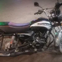 دینو طرح بوکسر درجه یک