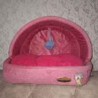 جاخواب حیوان سگ وگربه