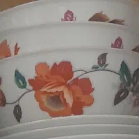 ظرف