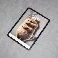 ipad pro 2021|تبلت|گرگان, |دیوار