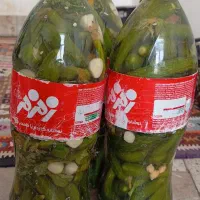 خیارشور