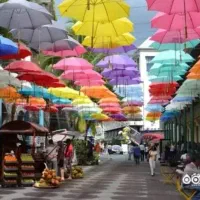 تور گروهی شاد وان دهم شهریور|تور و چارتر|تهران, شهرک غرب|دیوار