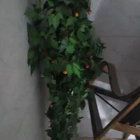 درخت مصنوعی گیلاس