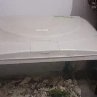 اکواریوم ماهیران|ماهی|پاکدشت, پاکدشت (مامازند)|دیوار