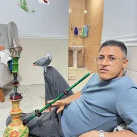 طوطی کاسکو|پرنده|مهر, |دیوار