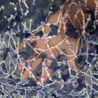 لباس کوردی|لباس|کرمانشاه, |دیوار