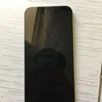 iPhone 12 pro max|موبایل|تهران, هفت چنار|دیوار