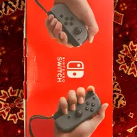 نینتندو  Nintendo Switch lite