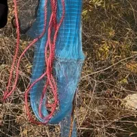 تور پرتاپی ماهیگیری