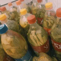 ترشی بیلهر
