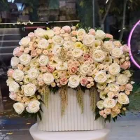 انواع گل به قیمت عمده در فروشگاه گل من