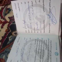 واگذاری سگ پیتبول