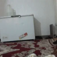 فریزر صندوقی