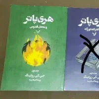 دو جلد کتاب هری پاتر