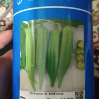 بزر بامیه بیکر