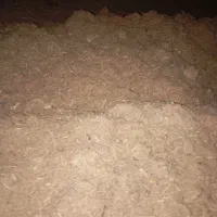 باگاس (تفاله نیشکر)