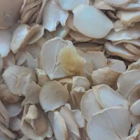 موسیرخشک تازه