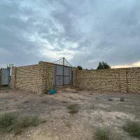 فروش فوری زمین زیر قیمت جهت خانه باغ نوش آباد|فروش زمین و ملک کلنگی|آران و بیدگل, |دیوار