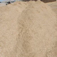 کاه زرد|خدمات باغبانی و درختکاری|دهگلان, |دیوار