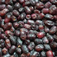 خرما فله یک