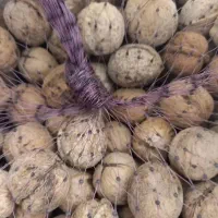 گردوی ایرانی (زیر قیمت بازار)