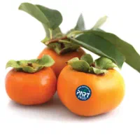 خریدار خرمالو