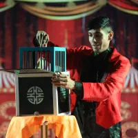 شعبده بازی و تردستی