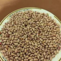 انواع حبوبات برنج ماکارانی قندشکر چای روغن رب|خوردنی و آشامیدنی|اسلام‌شهر, |دیوار
