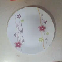 آرکوپال دسینی، طرح نیوسامانتا