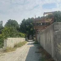 زمین