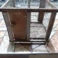 قفس پرنده|لوازم جانبی حیوانات|جهرم, |دیوار