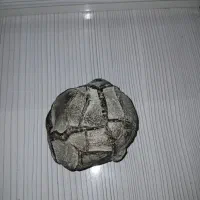 سنگ قیمتی|کلکسیون اشیاء عتیقه|تهران, جوادیه تهرانپارس|دیوار