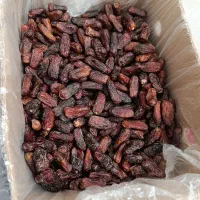 پیارم فقط 250|خوردنی و آشامیدنی|بندرعباس, |دیوار