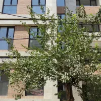 آپارتمان-137-متری-نوساز-کلید-نخورده