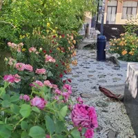 فروش باغچه|فروش خانه و ویلا|اصفهان, احمدآباد|دیوار