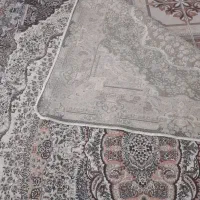 در حد نو