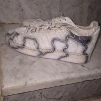 کفش سایز ۴۳