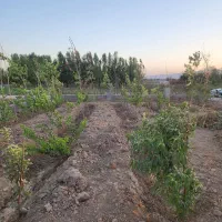 فروش-420متر-باغچه-2کله-در-جانبازان-کوچه-آسفالت