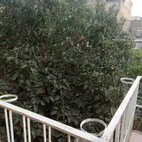 رهن و اجاره خانه ویلایی طبقه اول خواجه ربیع بهمن۲۶|اجارهٔ آپارتمان|مشهد, بهمن|دیوار