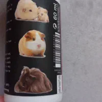 ملزومات خوکچه هندی|لوازم جانبی حیوانات|مشهد, فرهنگ|دیوار