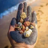 سفر به جزیره شگفت انگیز قشم