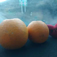 پرتقال کوهی شیرین و آبدار