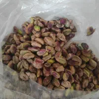 پسته